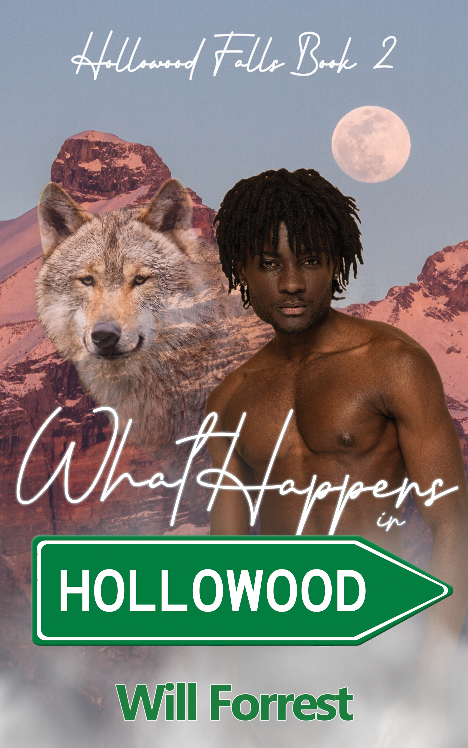 HOLLOWOOD 2 WHAT HAPPENS COVER