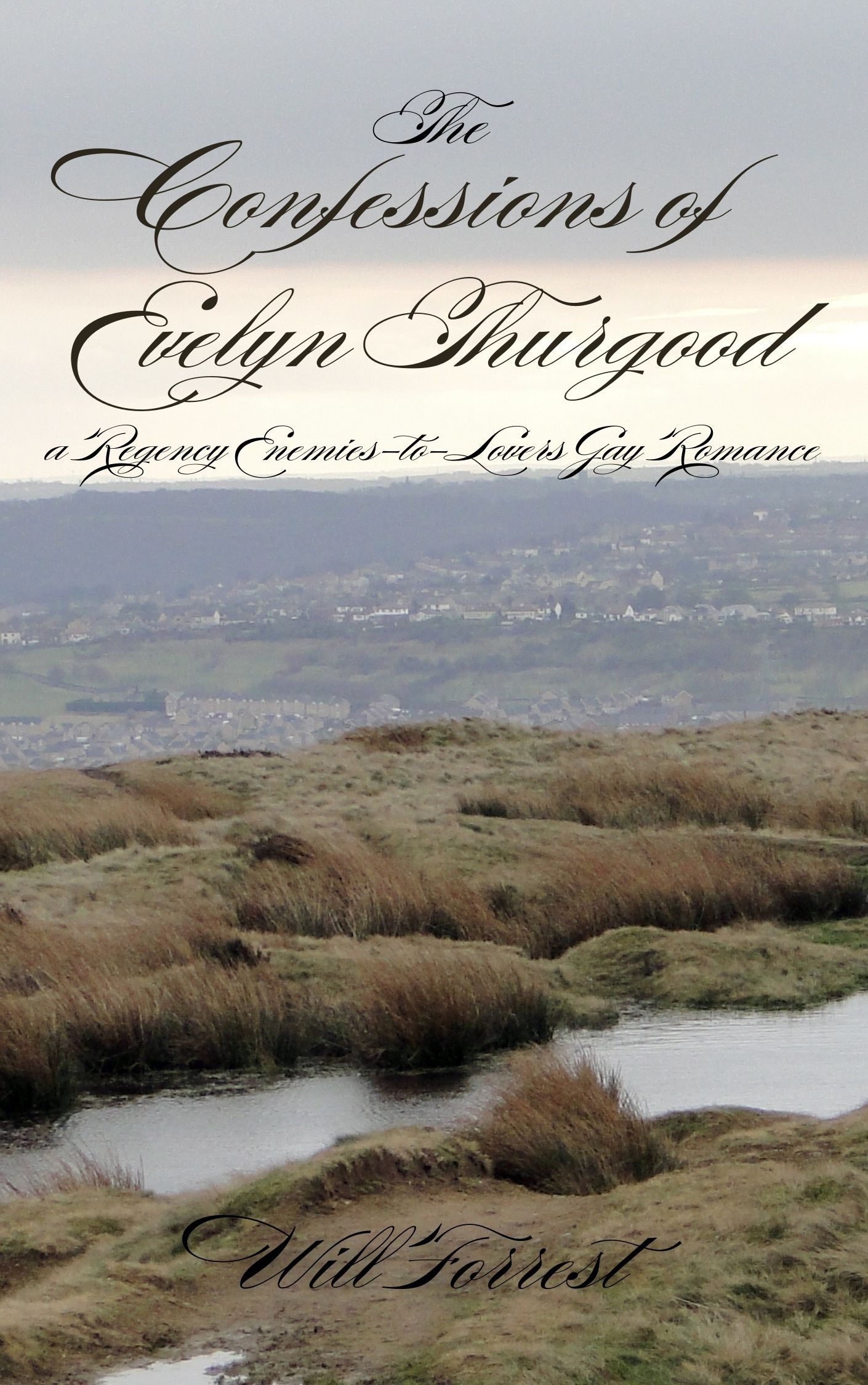 The Confessions of Evelyn Thurgood COVER