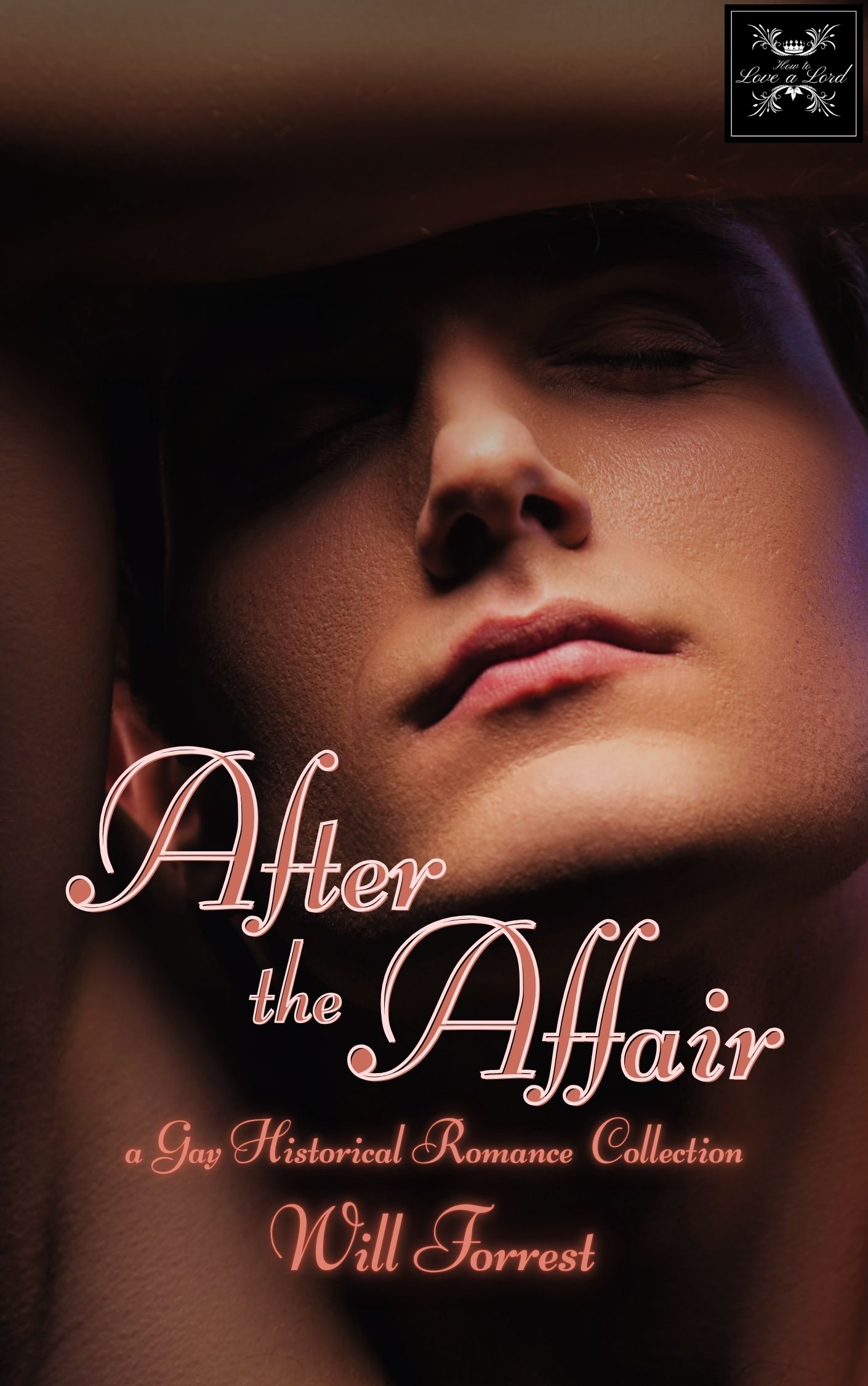 After the Affair book cover